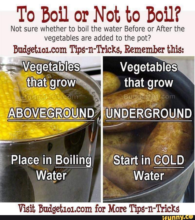 To Boil or Not to boil, that is the question . . . Here's how to cook
