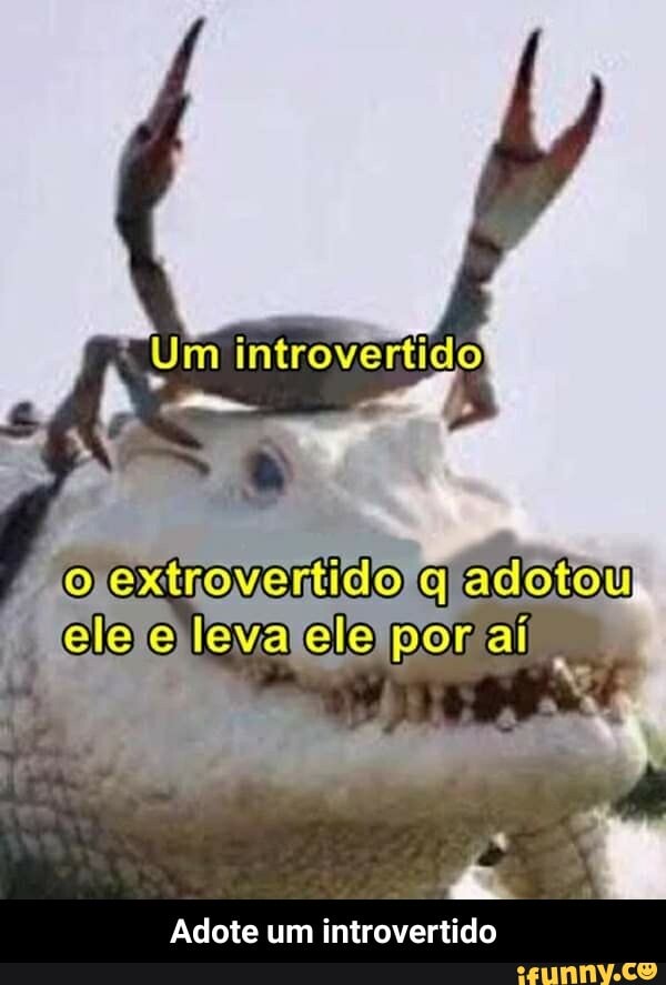 Um introvertido
adotou
Adote um introvertido - Adote um introvertido
