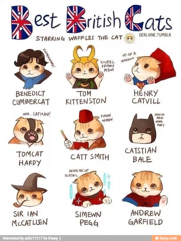 STARRING WAFFLES THE CAT (£%
McCATLUEN PEGG GARFIELD