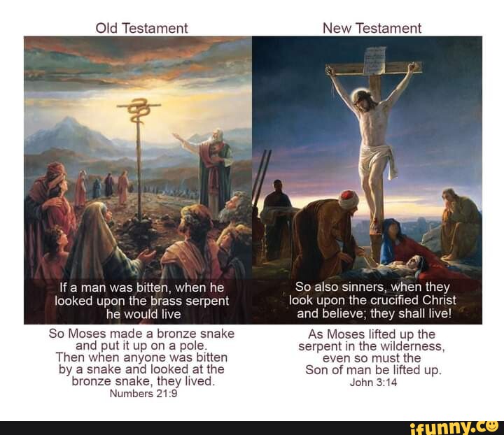 Old Testament Ifa Man Was Bitten When He Looked Upon The Brass Serpent He Would Live So Moses Old Testament Ifa Man Was Bitten When He Looked Upon The Brass Serpent He Would Live So Moses