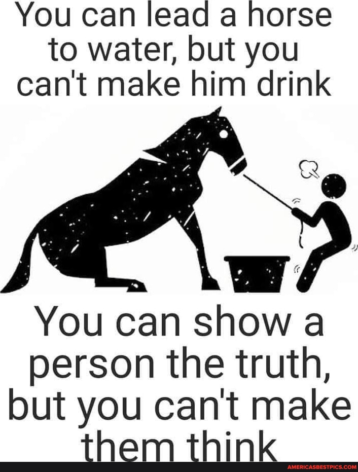 You can lead a horse to water, but you can't make him drink You can ...