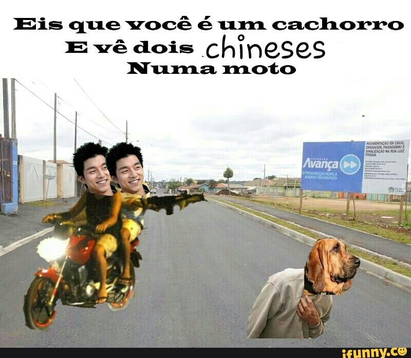 Eis que você é um cachorro
E vê dois chineses