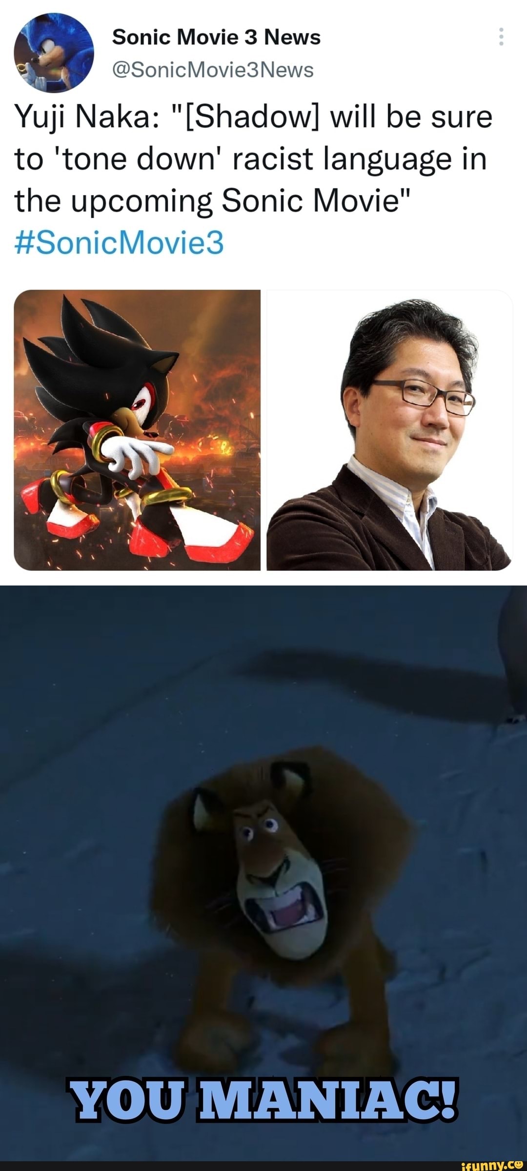 Shadow the Hedgehog Memes 