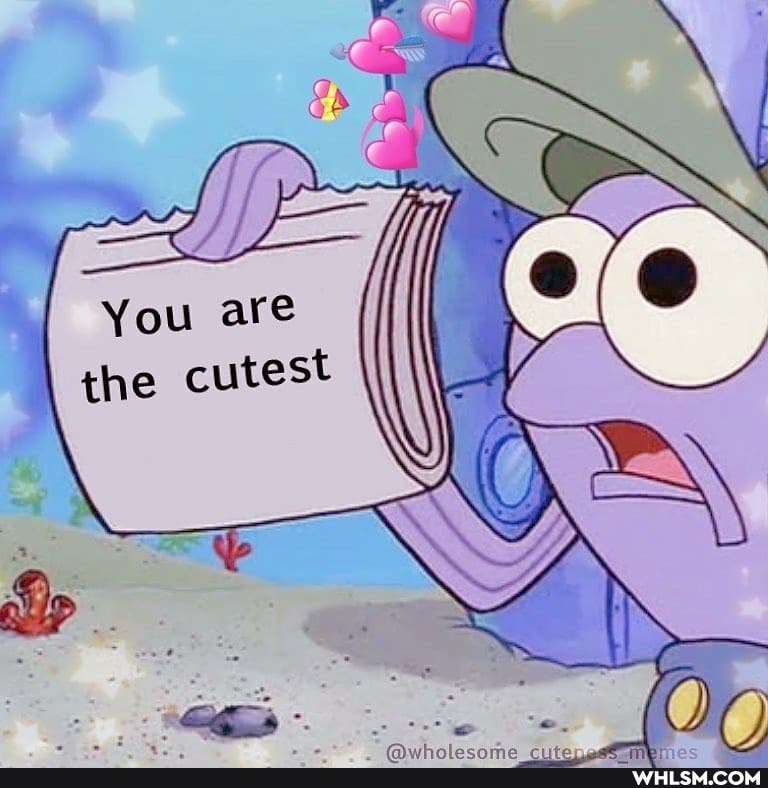 You are the cutest