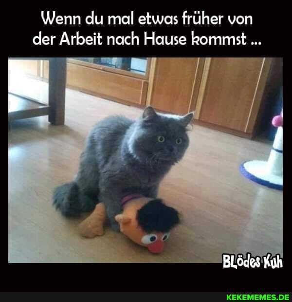 Wenn du mal etwas früher von der Arbeit nach Hause kommst
BLödes Kuh