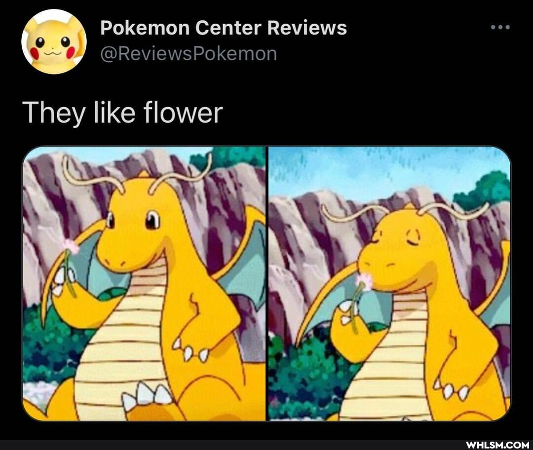 Pokemon Center Reviews
They like flower
SS