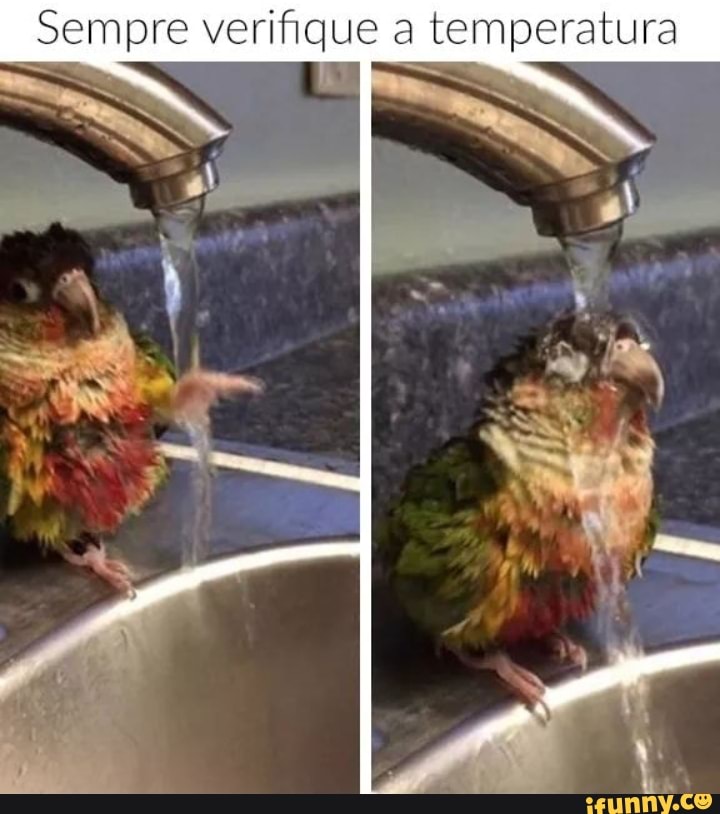 Sempre verifique a temperatura