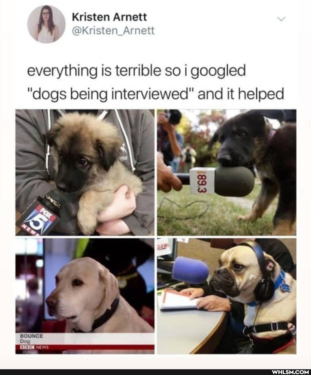 Kristen Arnett
@Kristen_Arnett
everything is terrible so i googled
"dogs being interviewed" and it helped