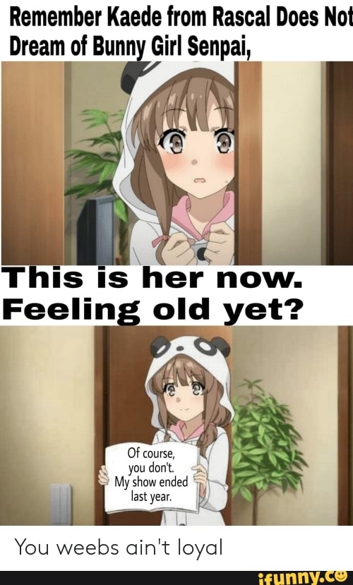 Remember Kaede from Rascal Does Nol Dream ofrBunn Girl Senpai, T is is ...