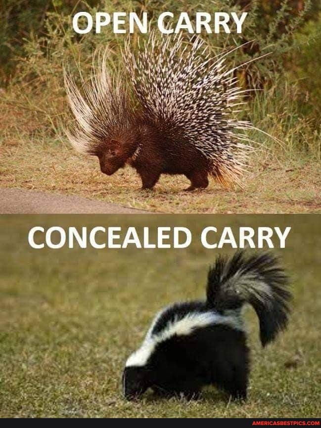 OPEN CARRY
CONCEALED CARRY