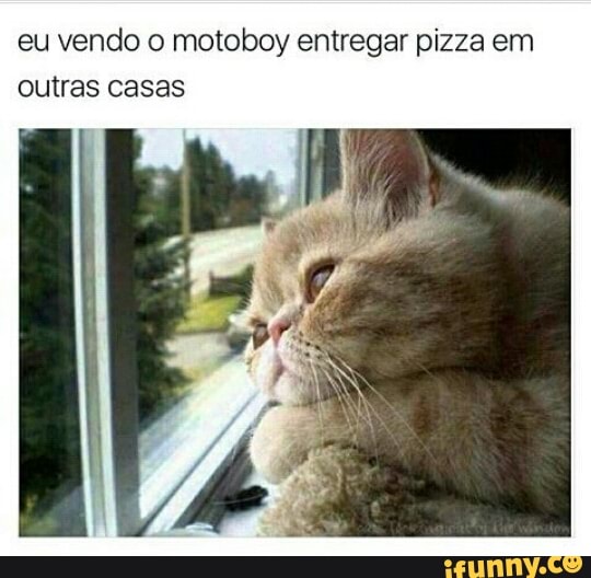 eu vendo o motoboy entregar pizza em
outras casas