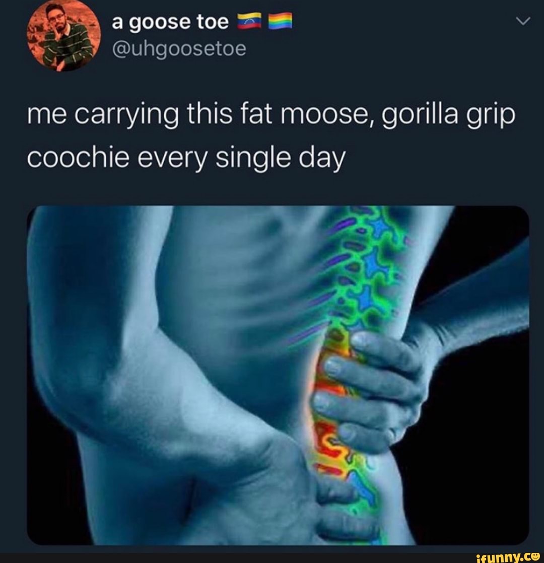 578 @uhgoosetoe me carrying this fat moose, gorilla grip coochie every  single day - iFunny