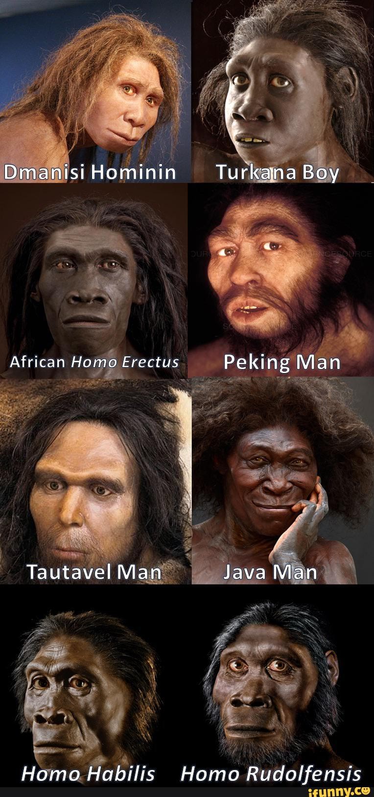 Dmanisi Hominin Turkana Boy African Homo Erectus Peking Man Tautavel ...