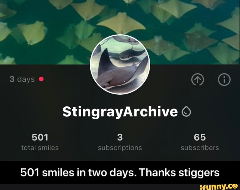subscriptions
501 smiles in two days. Thanks stiggers - 501 smiles in two days. Thanks stiggers