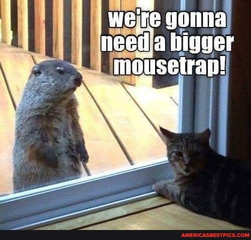 we" re gonna nesil, ahiguer mousetra