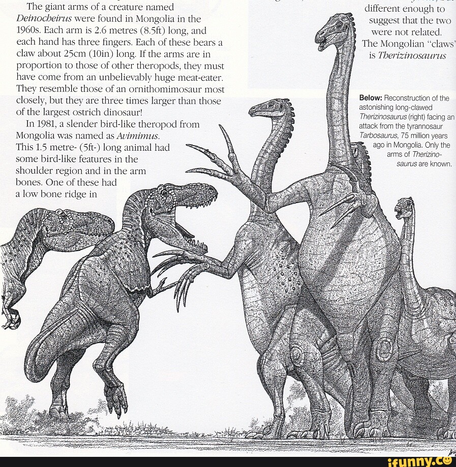 Deinocheirus, the giant hunchbacked dinosaur with