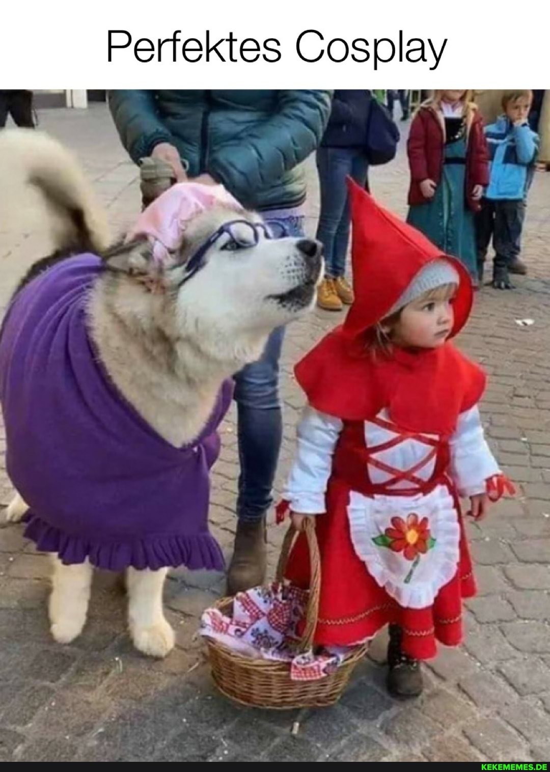Perfektes Cosplay