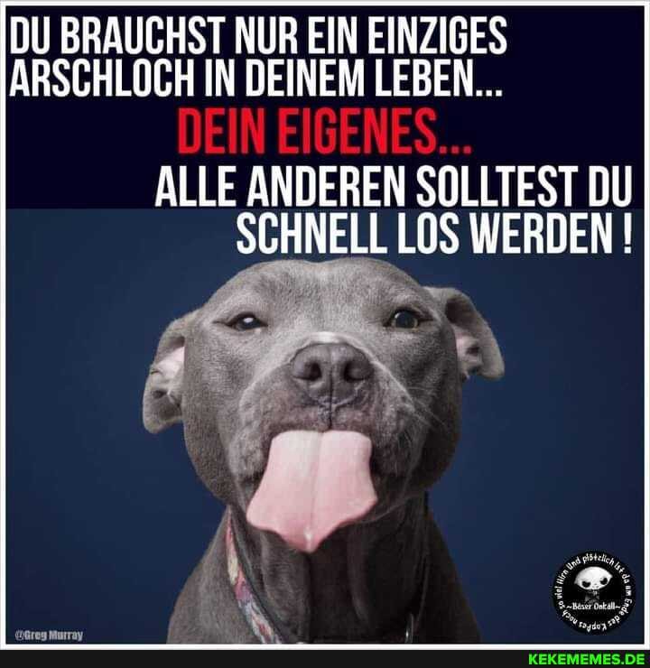 DU BRAUCHST NUR EIN EINZIGES ARSCHLOCH IN DEINEM LEBEN...
DEIN EIGENES...
ALLE ANDEREN SOLLTEST DU SCHNELL LOS WERDEN