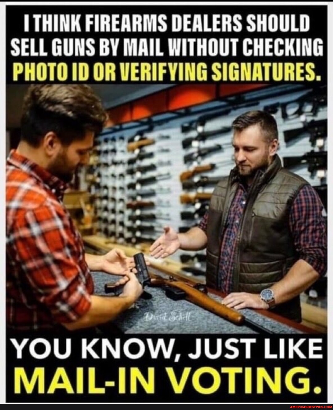 THINK FIREARMS DEALERS SHOULD SELL GUNS BY MAIL WITHOUT CHECKING PHOTO