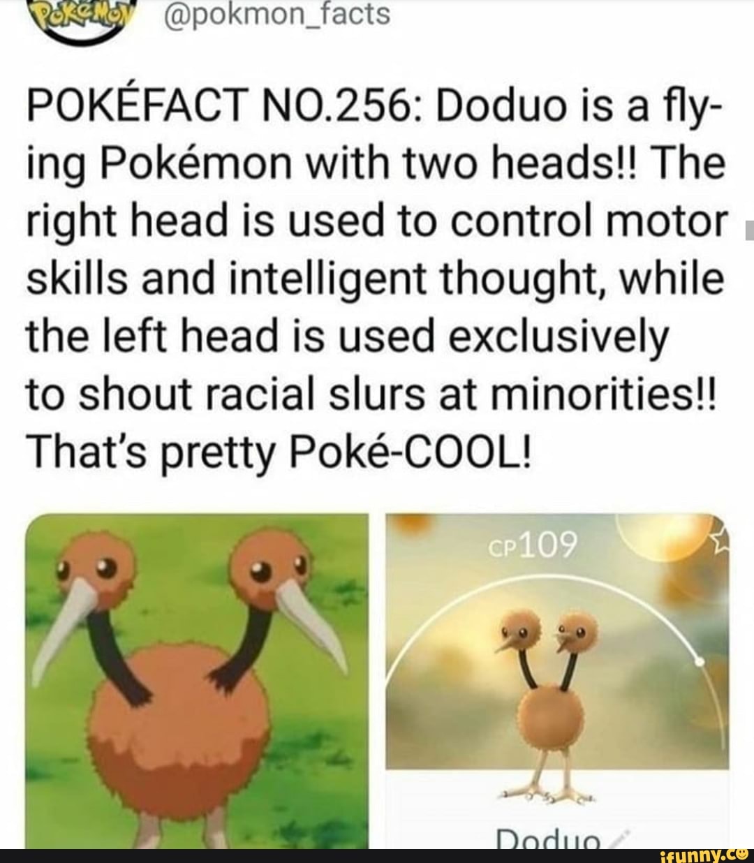 POKEFACT NO.256: Doduo is a fly- ing Pokmon with two heads!! The right head is used to control motor skills and intelligent thought, while the left head is used exclusively
to shout racial slurs at minorities!
That's pretty Poke-COOL!