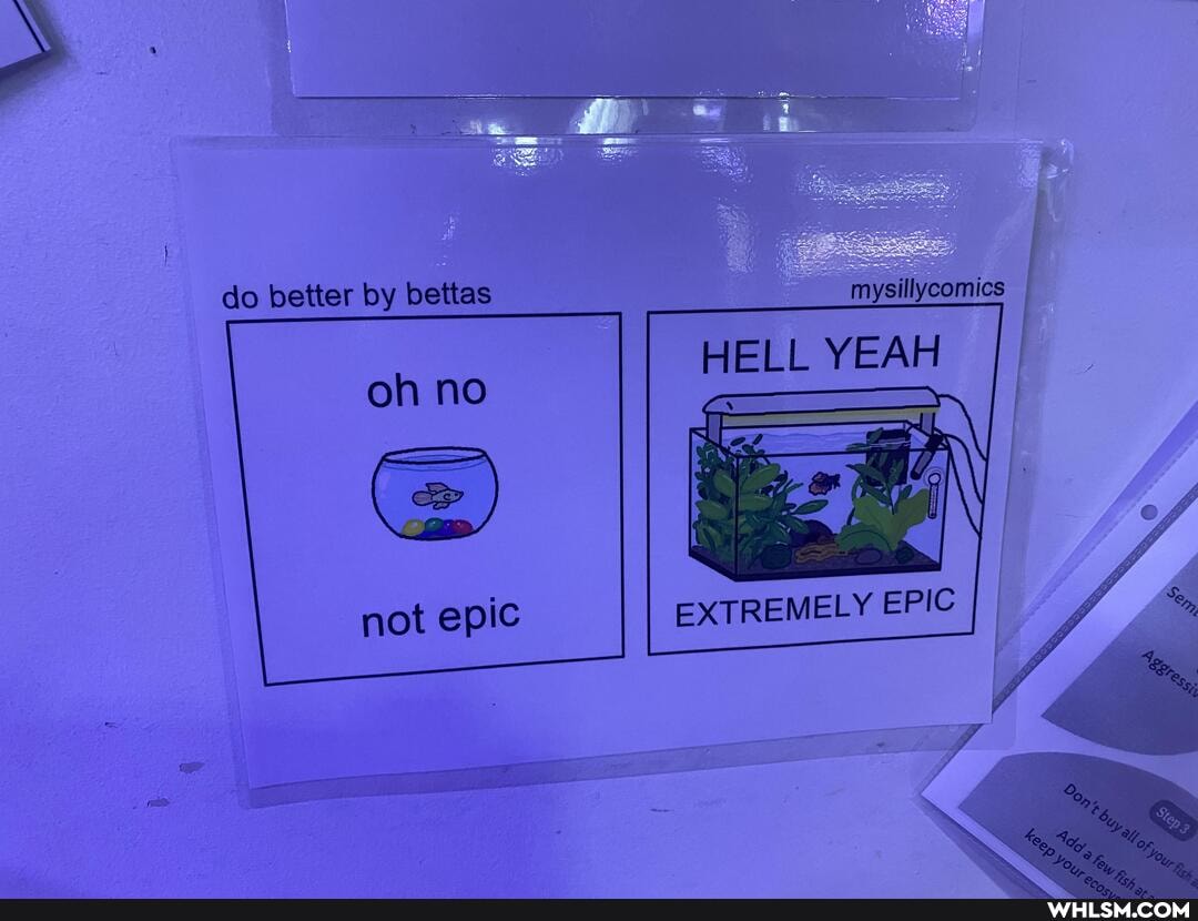 do better by betas
not epic