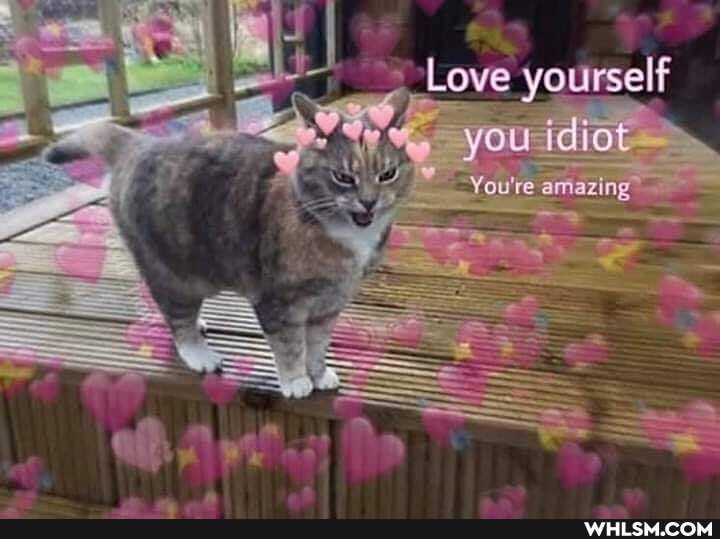 you idiot
You've amazing