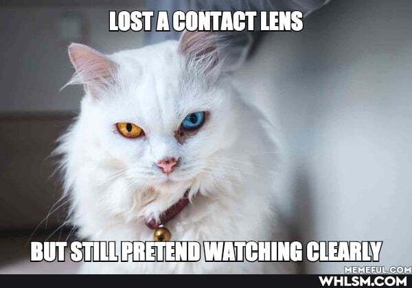 LOST A CONTACT LENS
BUT STILL PRETEND WATCHING CLEARLY