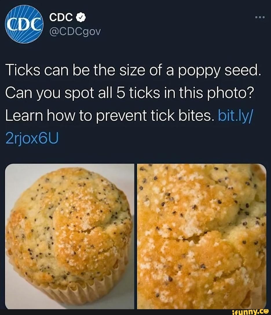 CDC Ticks can be the size of a poppy seed. Can you spot all 5 ticks in