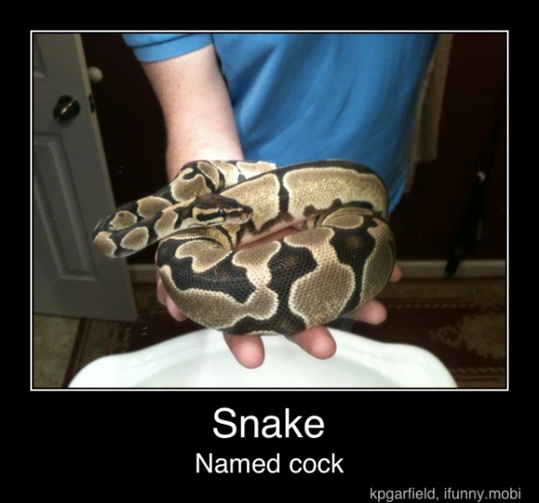 Snake Named cock - Snake Named cock.