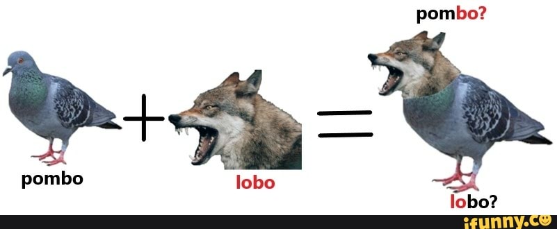 pombo?
pombo lobo lobo?