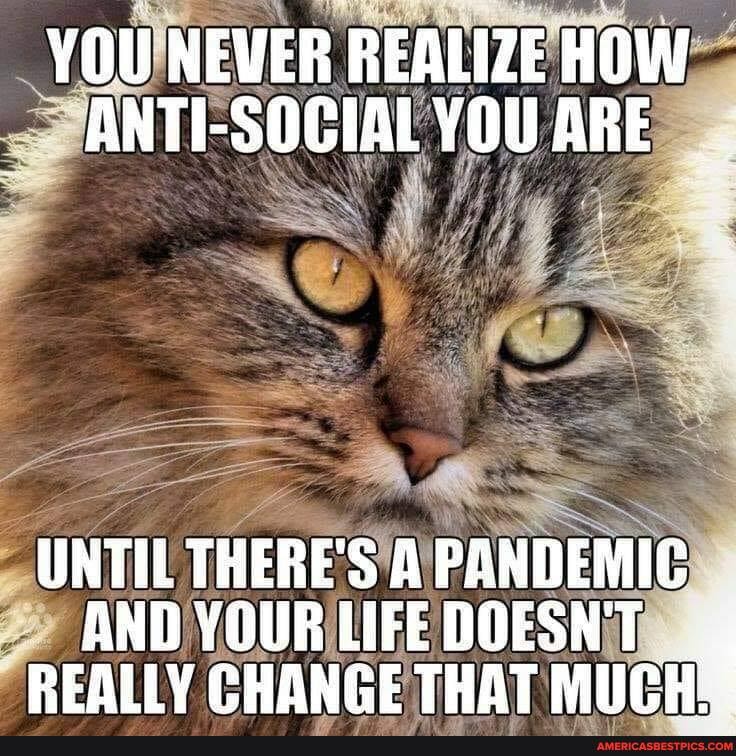YOU NEVER REALIZE HOW ANTI-SOCIAL YOU ARE
UNTIL THERE'S A PANDEMIC AND REALLY YOUR LIFE DOESN'T CHANGE THAT uf
REALLY CHANGE THAT MUCH
