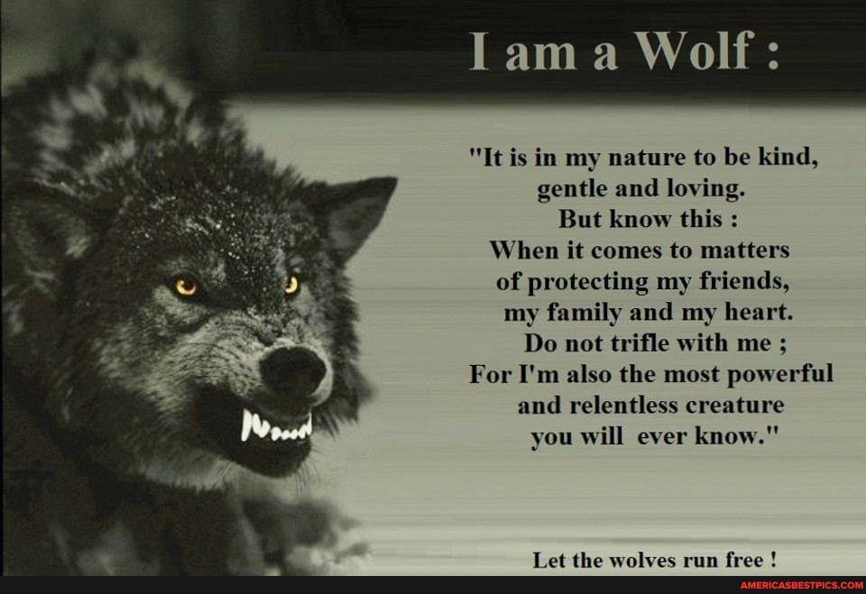 am a Wolf:
"It is in my nature to be kind, gentle and loving.
But know this :
When it comes to matters of protecting my friends, my family and my heart.
Do not trifle with me ;
For I'm also the most powerful and relentless creature you will ever know."
Let the wolves run free !
