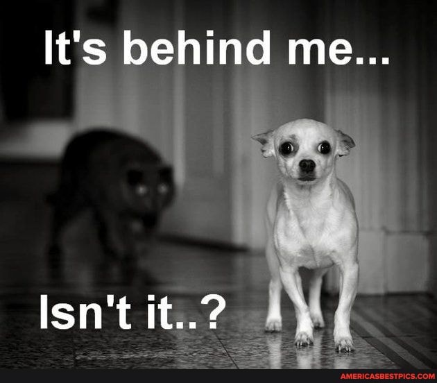 It's behind me...
Isn't it..?
