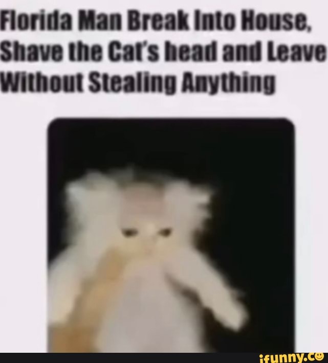 Florida Man Break Into House. Shave the Cat's head and Leave Without