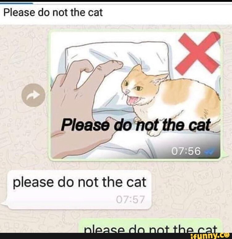 Please do not the cat
please do not the cat