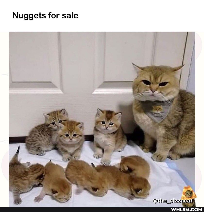 Nuggets for sale