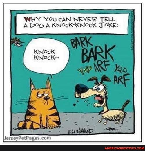 TELL
WHY You cAN NEVETe TELL A DOG A KNOcK-KNockK JOKE: