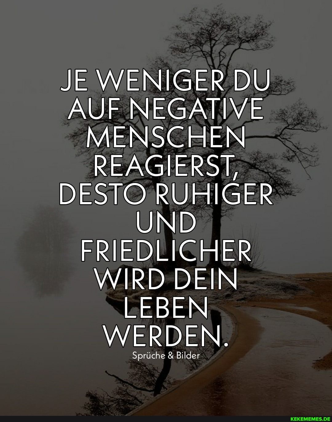 JE WENIGER DU AUF NEGATIVE MENSCHEN REAGIERST,
DESTO RUHIGER
UND FRIEDLICHER WIRD DEIN LEBEN WERDEN.