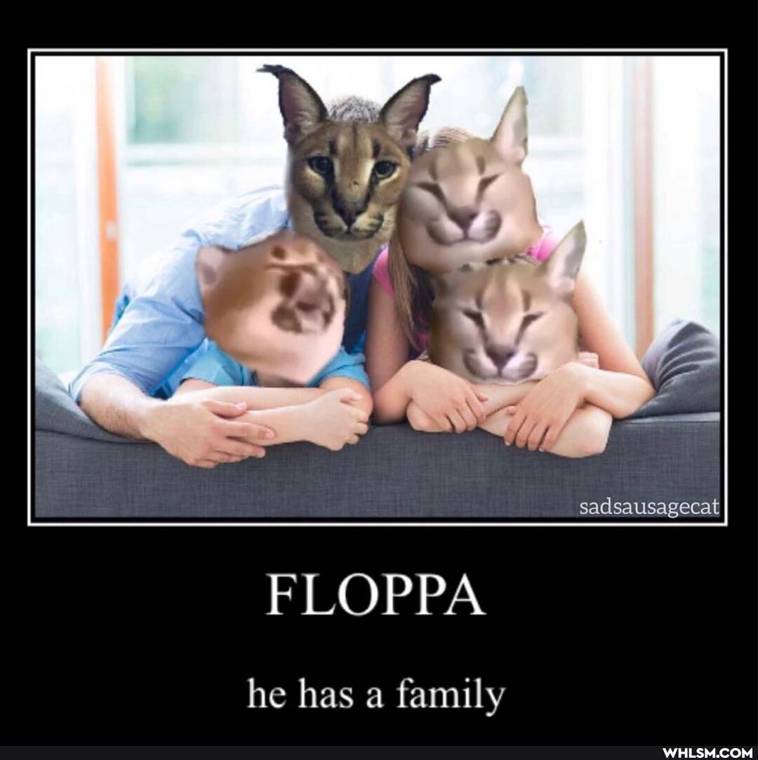 sadsausagecat
FLOPPA
he has a family