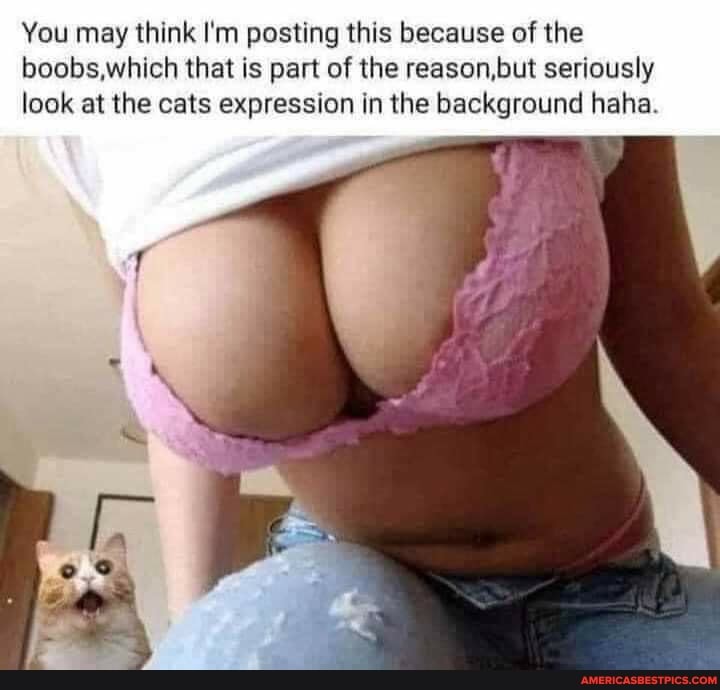 You may think I'm posting this because of the boobs,which that is part of the reason,but seriously look at the cats expression in the background haha