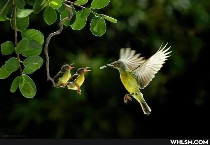 mom, baby, beautiful