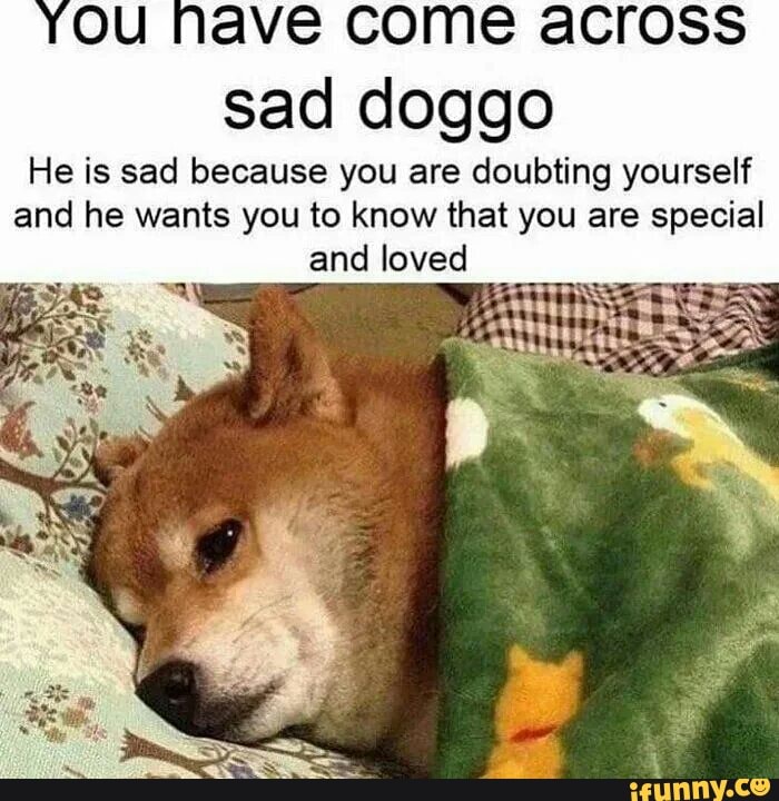 YOU ave come across
sad doggo
He is sad because you are doubting yourself and he wants you to know that you are special and loved