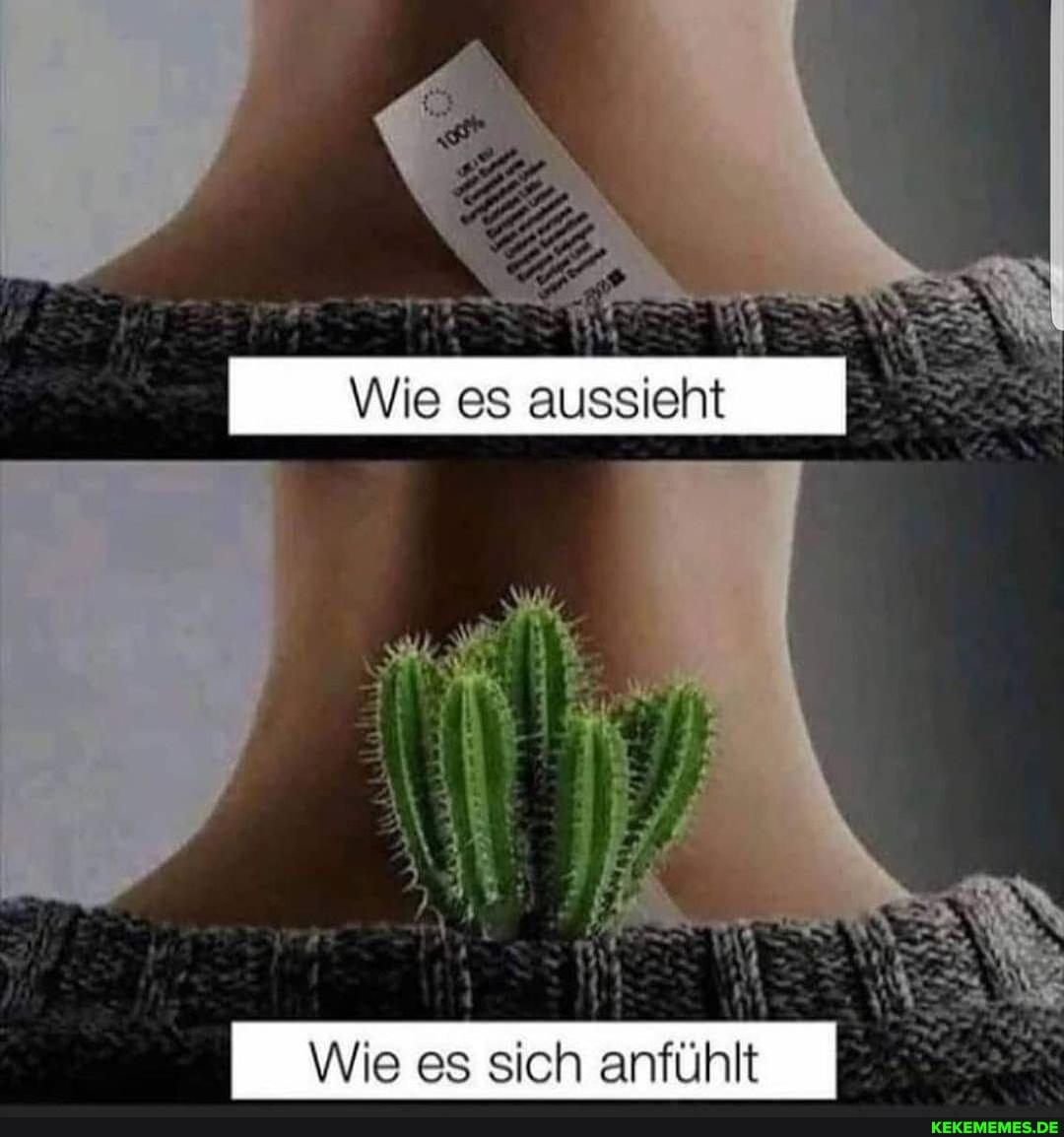Wie es aussieht
anfühlt
Wie es sich anfühlt