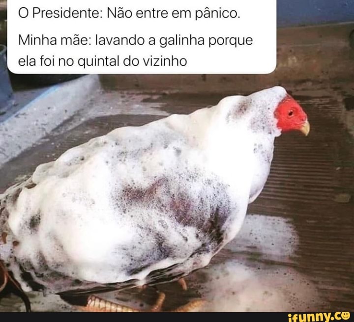 O Presidente: Não entre em pânico.
Minha mãe: lavando a galinha porque ela foi no quintal do vizinho