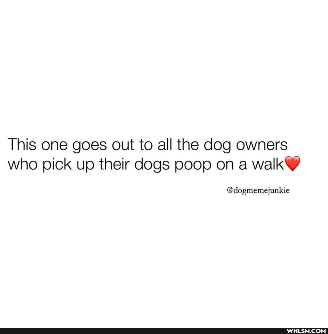 This one goes out to all the dog owners who pick up their dogs poop on a walk
@dogmemejunkie