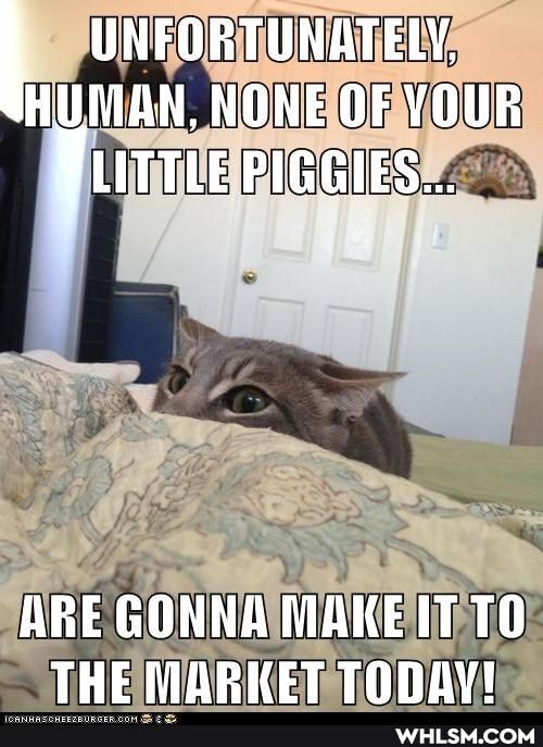 UNFORTUNATELY,
HUMAN, NONE OF YOUR VLITTLE PIGGiES...
ARE GONNA MAKE IT TO THE MARKET TODAY!