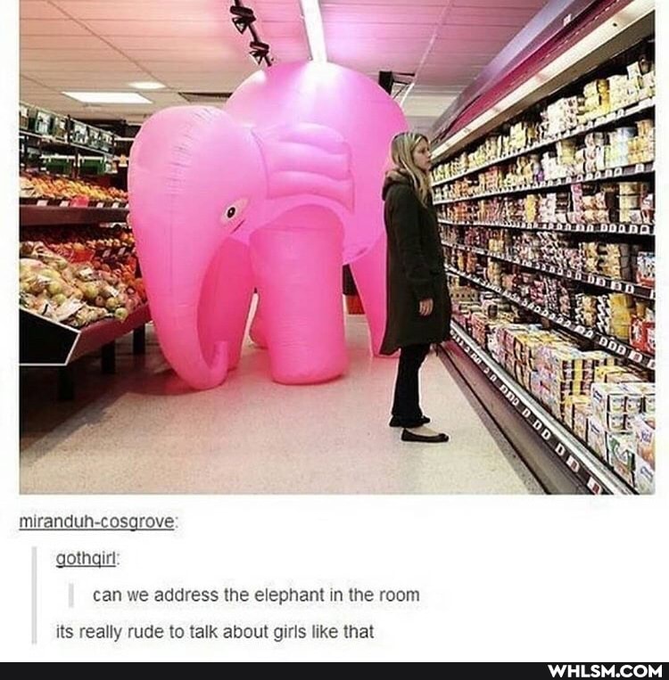 miranduh-cosgrove: gothgirl can we address the elephant in the room
its really rude to talk about girls like that