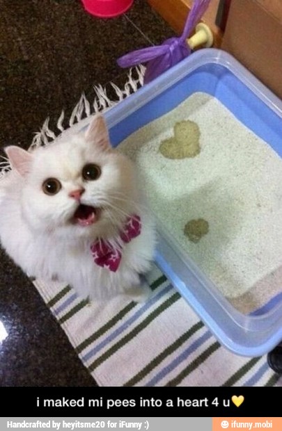 i maked mi pees into a heart 4uW - i maked mi pees into a heart 4 uπ