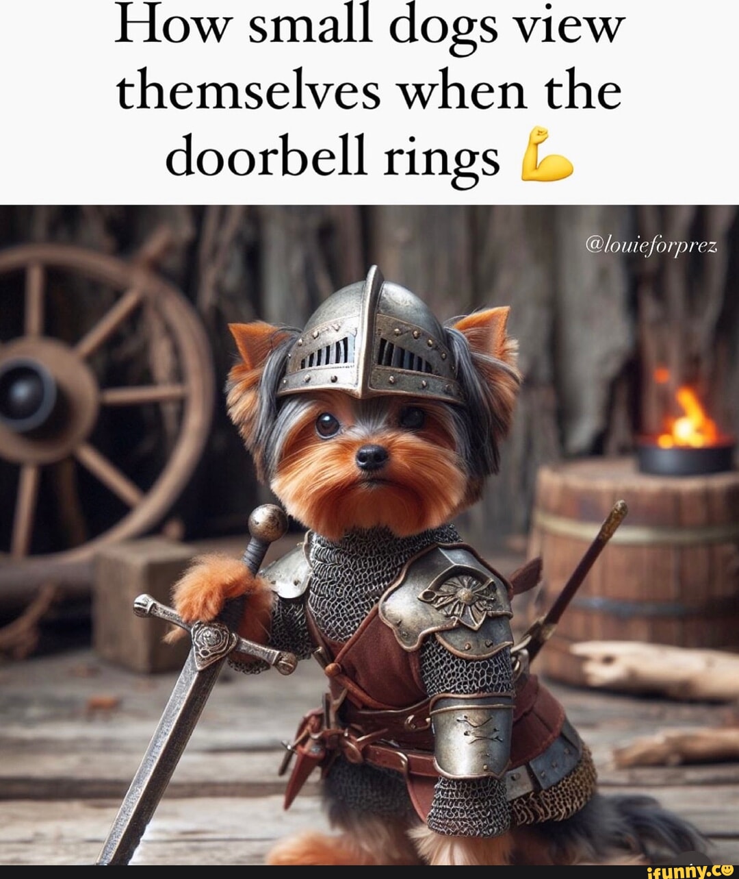 How small dogs view themselves when the doorbell rings & louieforprez