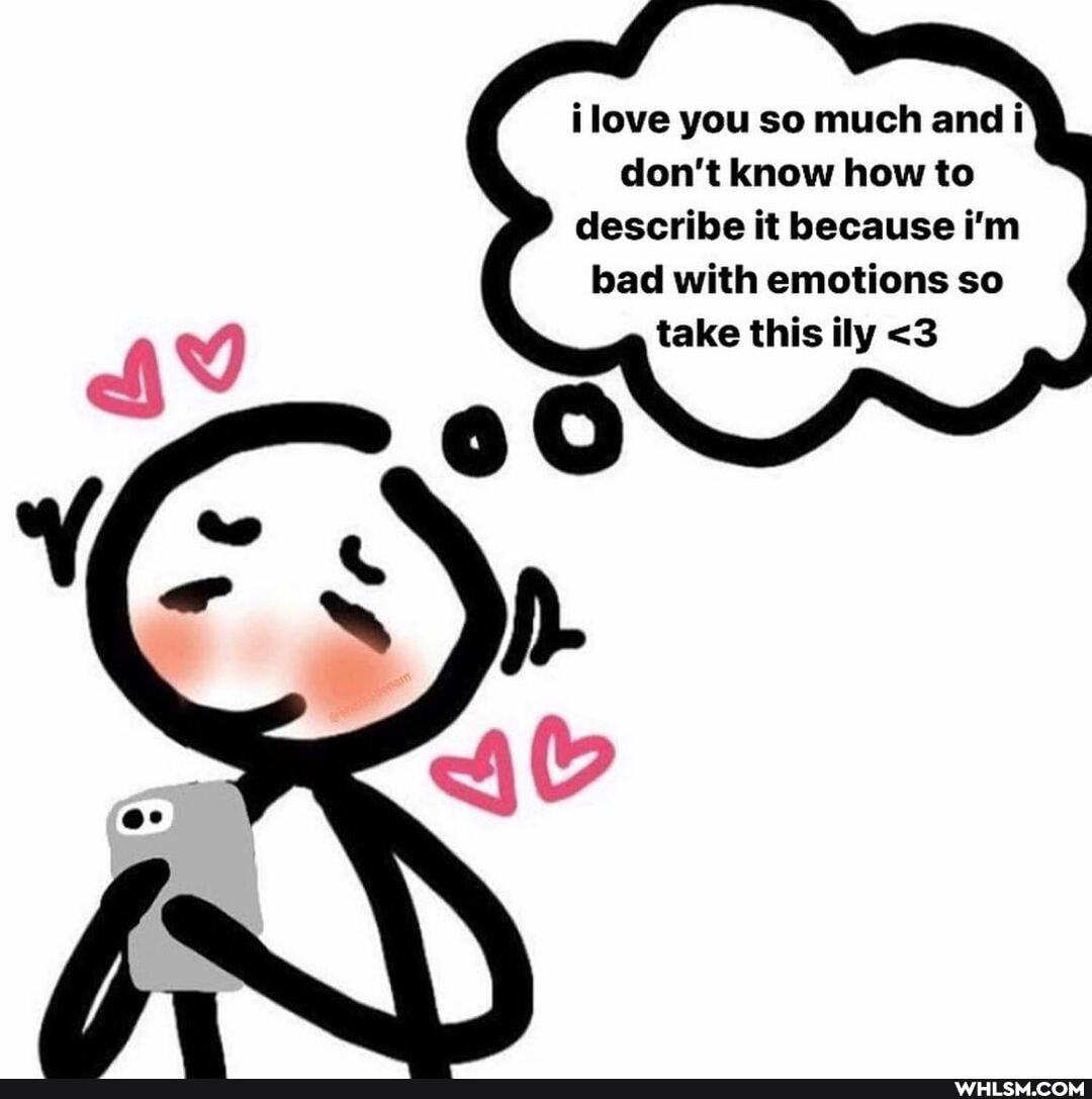 ilove you so much and i don't know how to describe it because i'm bad with emotions so take this fly <3